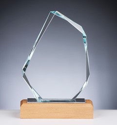 Zeige Details für Glas und Holz Rock Award Bild von Glas und Holz Rock Award